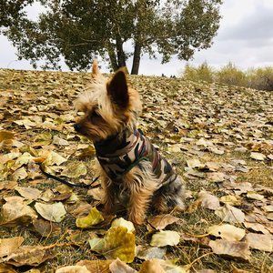 Meet your Posher, Ron